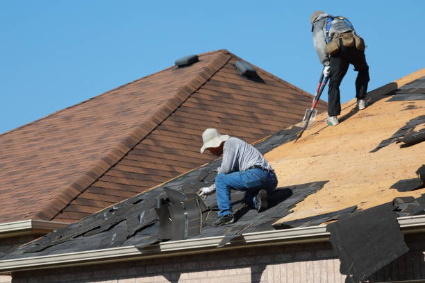 Best Roof Moss and Algae Removal  in Matoaca, VA